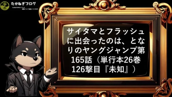 ワンパンマン　マナコ　サイタマとフラッシュ